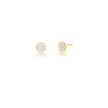 Brinco Flor de Luz Pequeno Cravejado — Banho Ouro 18k