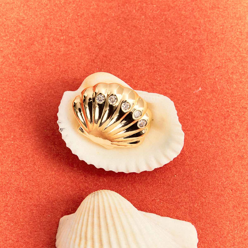 Brinco Concha de Luz