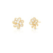 Brinco Flor de Luz com Zircônias
