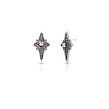 Brinco Estrela Esculpida Cristal Champagne